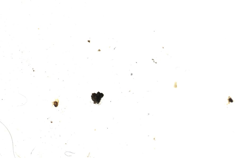 Image 70